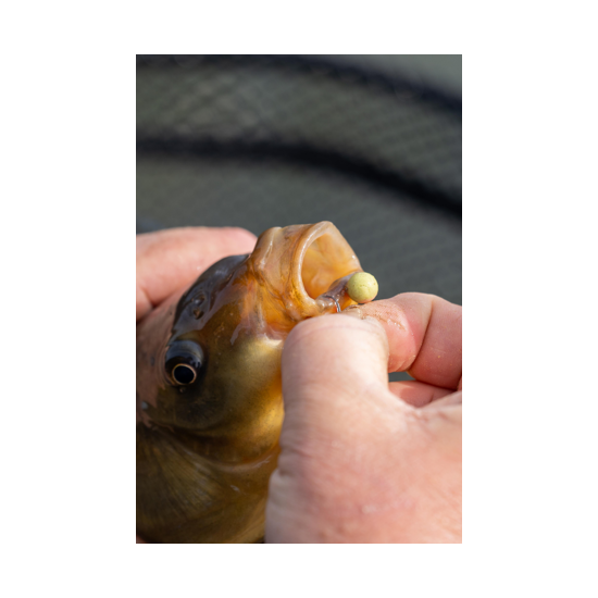 Wafter Sonubaits - Spike'um Wafter Meaty Mussel 8mm